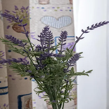 Appartement Livaja